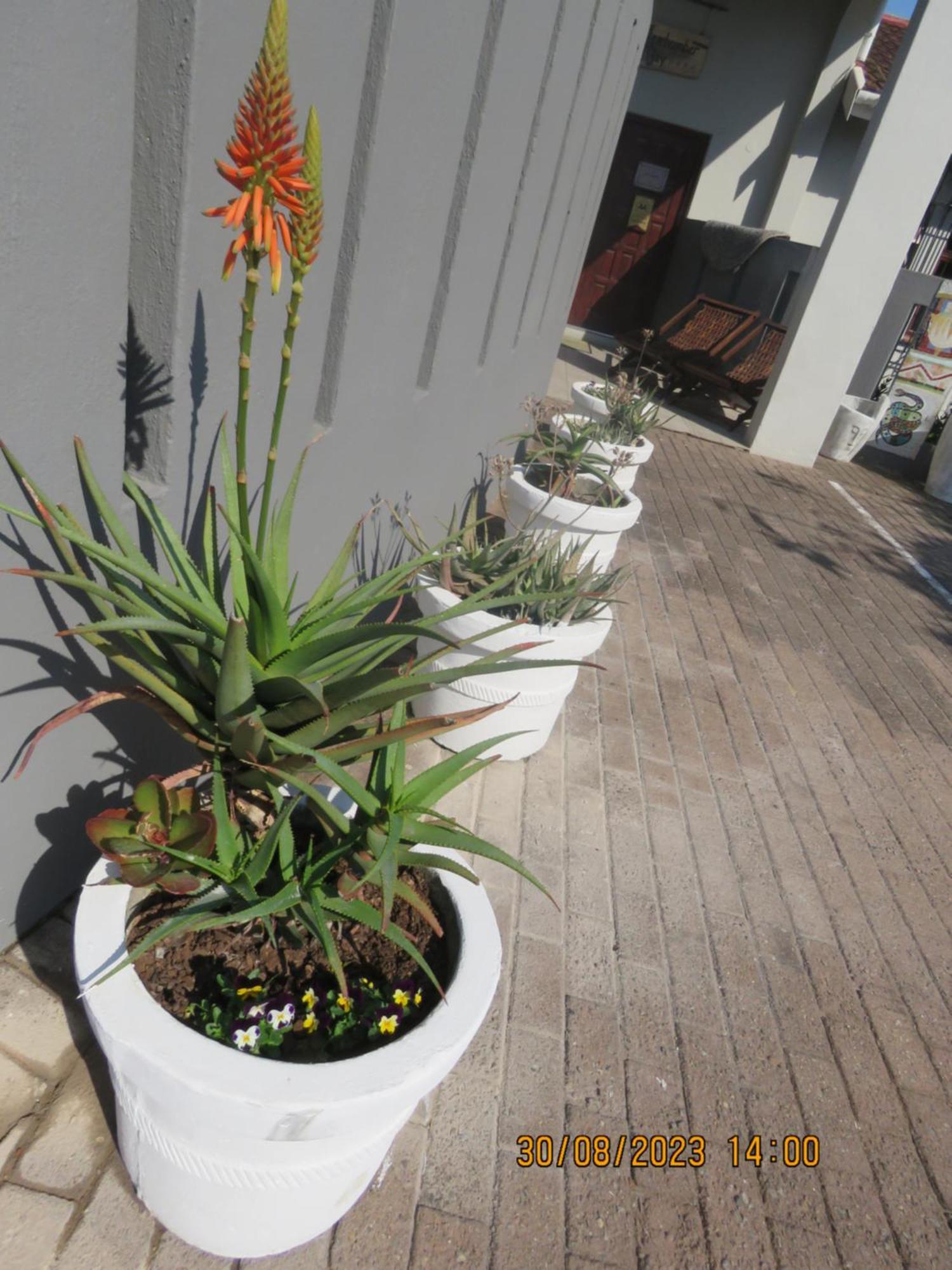 Beachcomber Bay Guest House In South Africa Margate Exterior foto